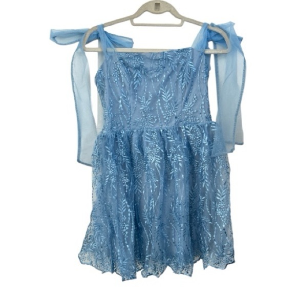 Audrey Parks Dresses & Skirts - Audrey Parks x Francesca’s Blue Embroidered Tulle Mini Dress – Size M  NWT
